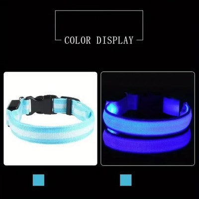 LED-Hundehalsband aus Nylon 45–58 cm