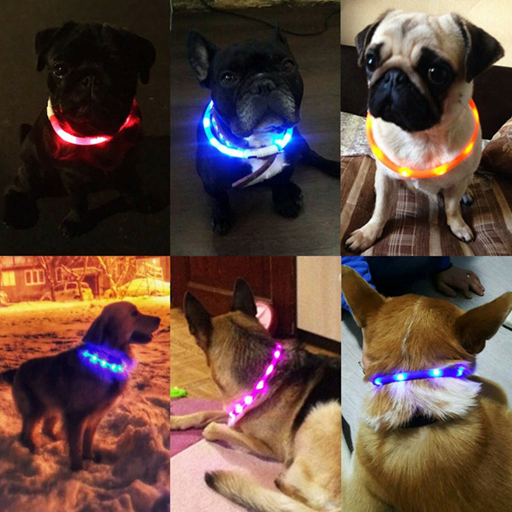 Kürzbares LED-Hundehalsband mit mehreren LEDs