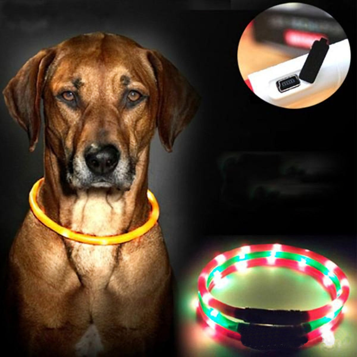 Kürzbares LED-Hundehalsband mit mehreren LEDs