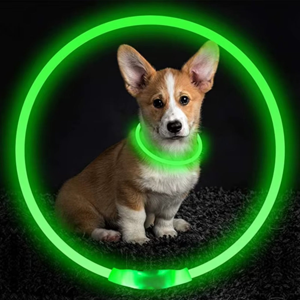 Kürzbares LED-Hundehalsband mit USB-Akku
