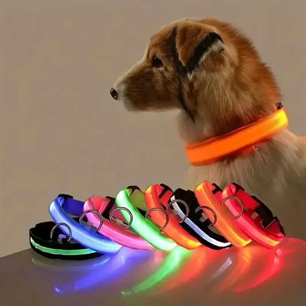 LED-Hundehalsband aus Nylon 45–58 cm