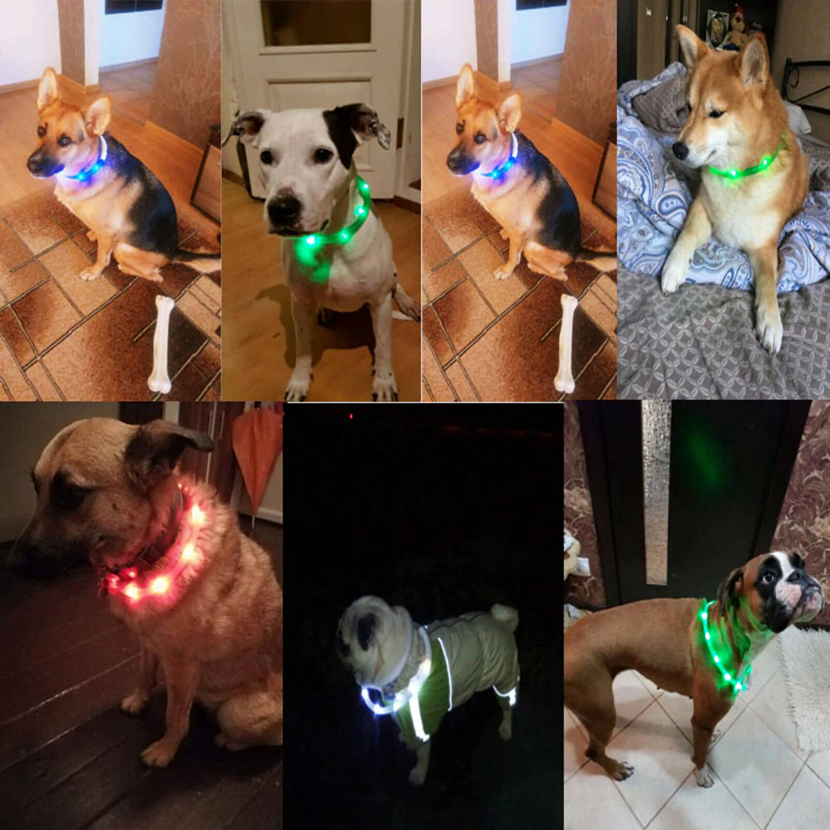 Kürzbares LED-Hundehalsband mit mehreren LEDs