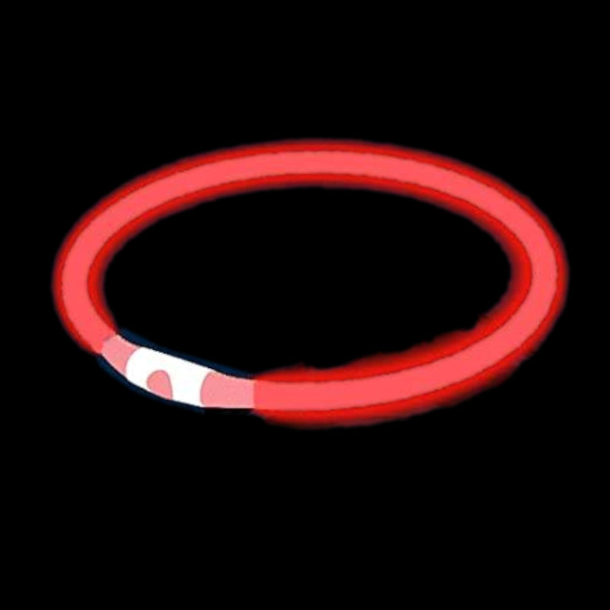 Kürzbares LED-Hundehalsband mit USB-Akku