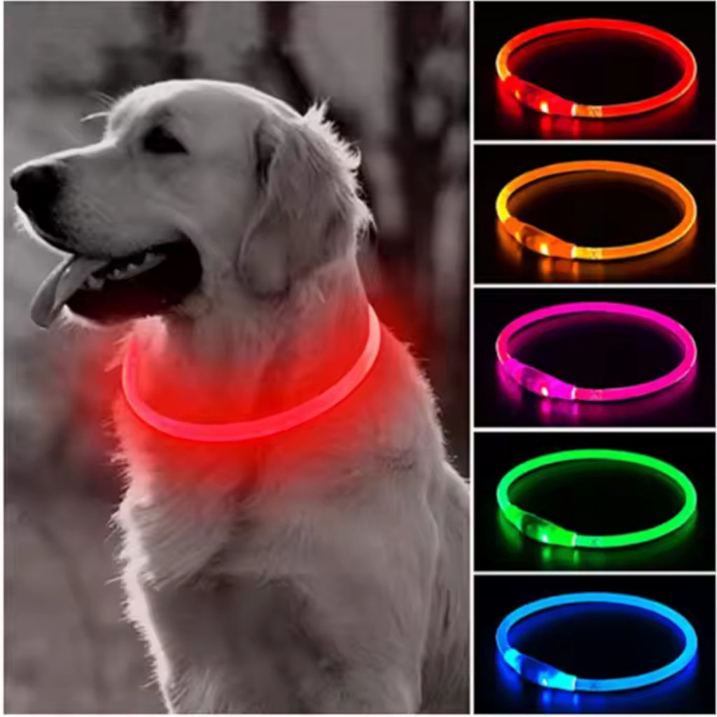 Kürzbares LED-Hundehalsband mit USB-Akku