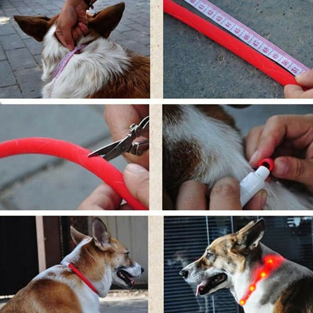 Kürzbares LED-Hundehalsband mit mehreren LEDs