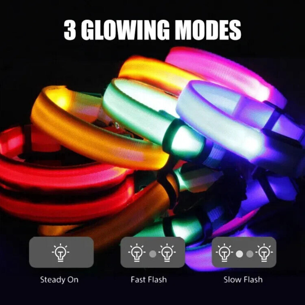 LED-Hundehalsband aus Nylon 45–58 cm